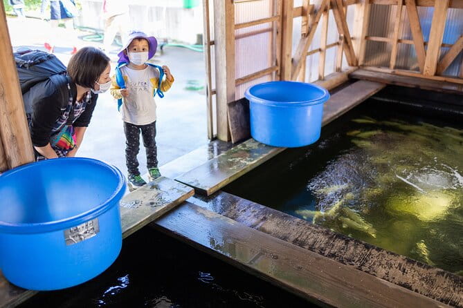 Day Trip Tour in Nishikigoi With Lunch - Key Points