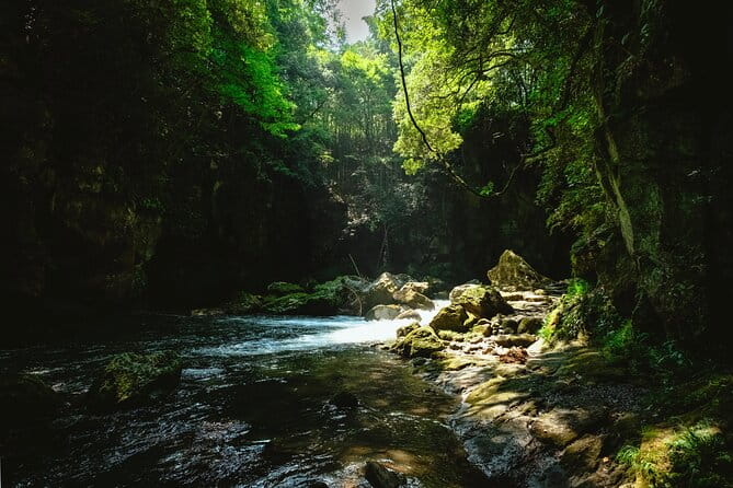 Discover Inner Peace at Fukoji Temple Meditation Experience Tour - Attire and Footwear Recommendations