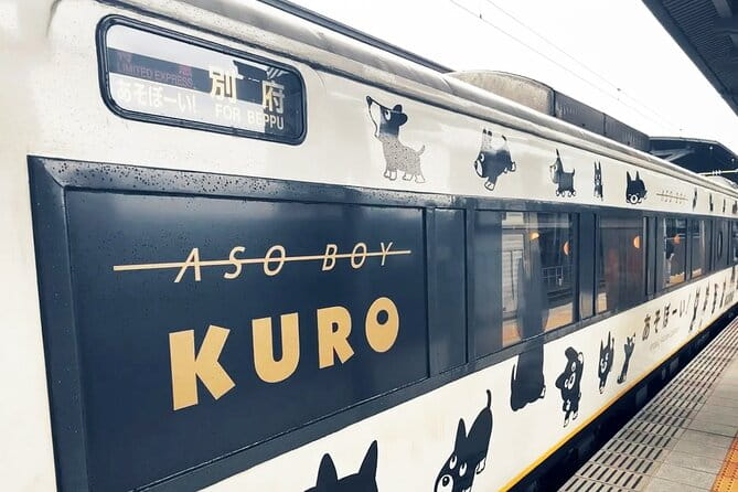 Discover Kumamoto With Aso Boy Scenic Train - Health and Accessibility Considerations