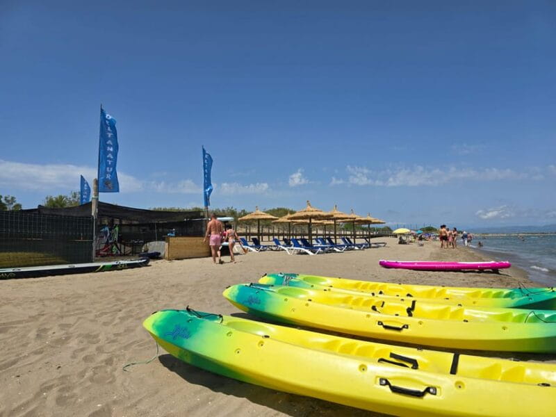 Ebro Delta National Park: Scenic Drive and Kayaking Tour - Inclusions and What to Expect