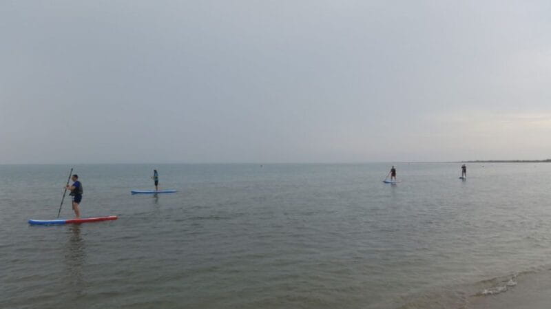 Ebro Delta National Park: Scenic Drive and Kayaking Tour - Things To Known