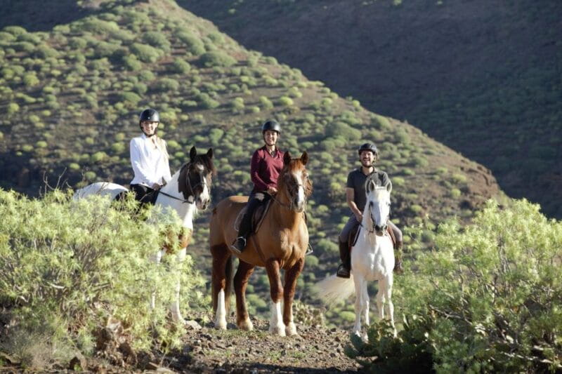 El Salobre: Horse Riding Adventure With Transfer Options - Key Points