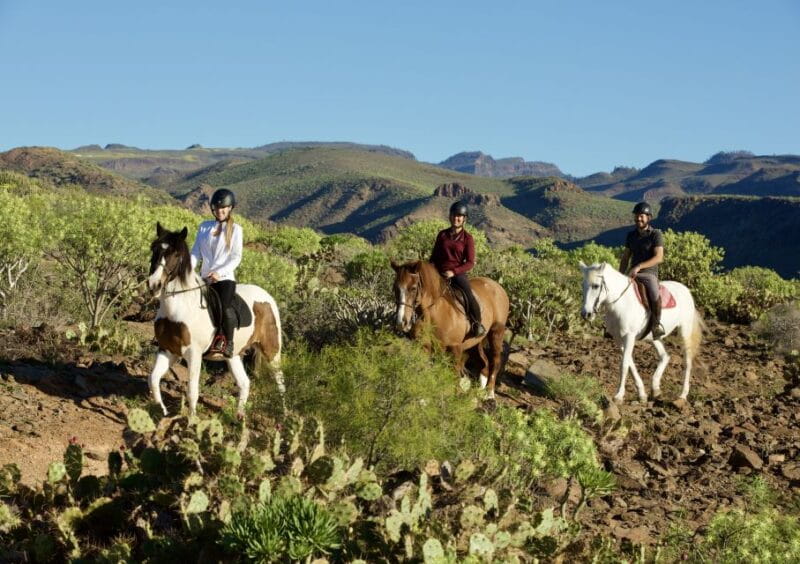 El Salobre: Horse Riding Adventure With Transfer Options - Activity Overview