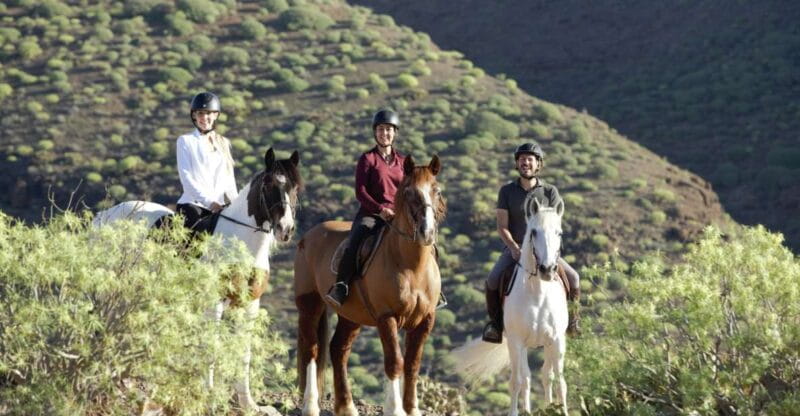 El Salobre: Horse Riding Adventure With Transfer Options - Highlights of the Experience