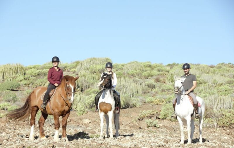 El Salobre: Horse Riding Adventure With Transfer Options - Safety Considerations