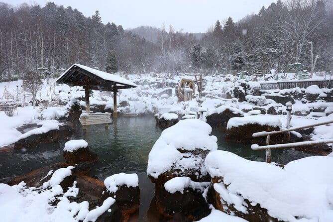 Enjoy Snow-Covered Hot Springs With Private Transport - Experience the Serenity of Snow-Covered Hot Springs