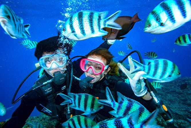 Experience Diving & Banana Boat by Boat - Pricing and Whats Included