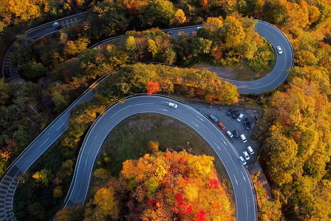 Explore the Culture and History of Nikko With This Private Tour - What Travelers Are Saying About the Tour