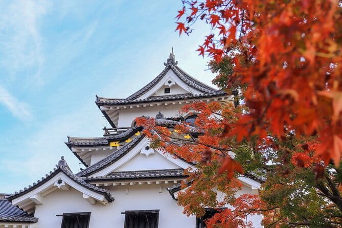 Explore the Historic Castle Town of Hikone From Osaka - Key Points
