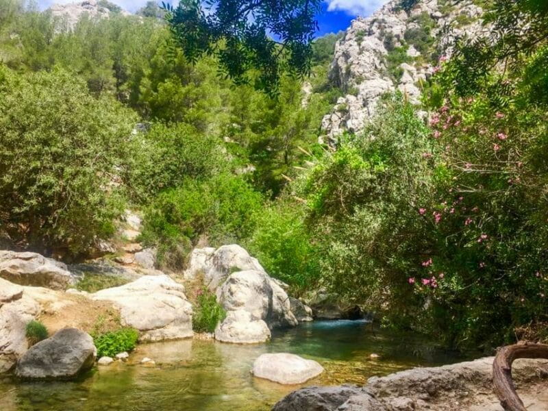 From Albir or Benidorm: Algar Waterfalls Day Trip - Nearby Attractions to Explore
