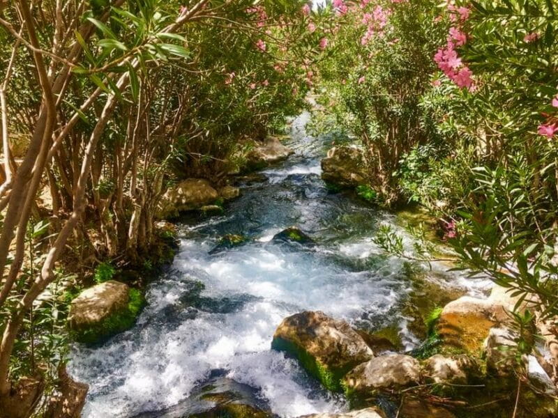 From Albir or Benidorm: Algar Waterfalls Day Trip - Tips for a Great Experience