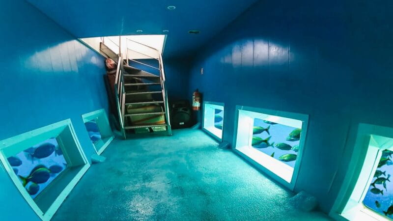 From Alicante: Roundtrip to Tabarca Island - Best Time to Visit