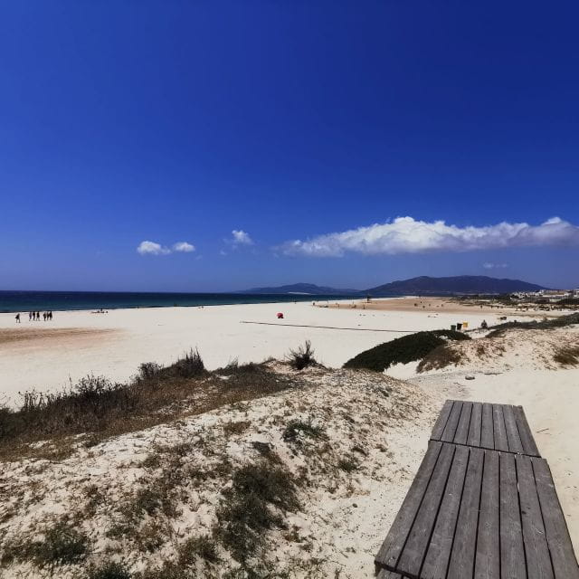 From Cadiz: Tarifa & Roman Ruins - Tour Experience