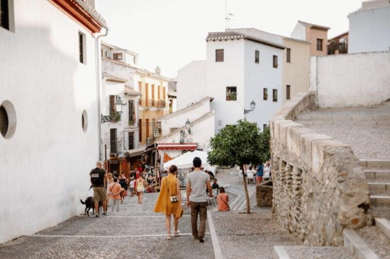 From Costa Del Sol: Granada Day Trip Free Time 5h - Key Points