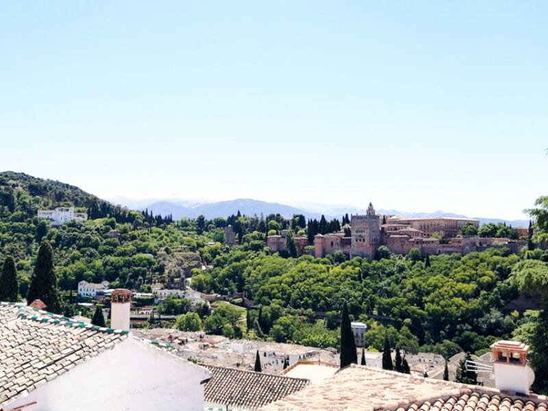 From Costa Del Sol: Granada Day Trip Free Time 5h - Transportation Options