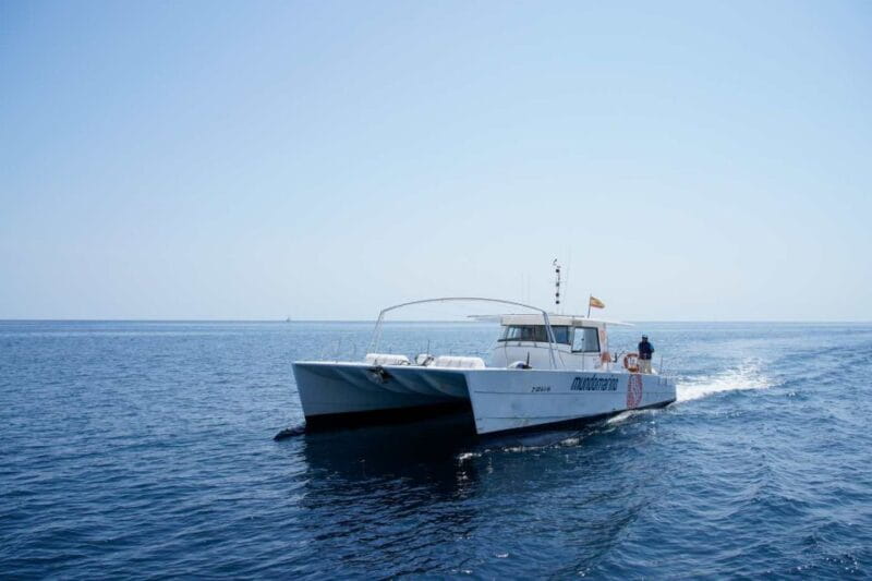 From Denia: Boat Trip to Tallada Cave With Optional Swim - Additional Costs and Exclusions
