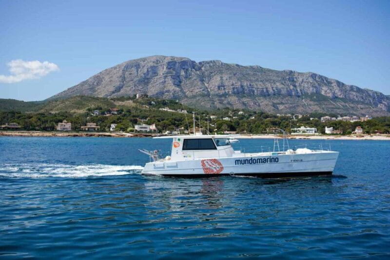 From Denia: Boat Trip to Tallada Cave With Optional Swim - Essential Packing List