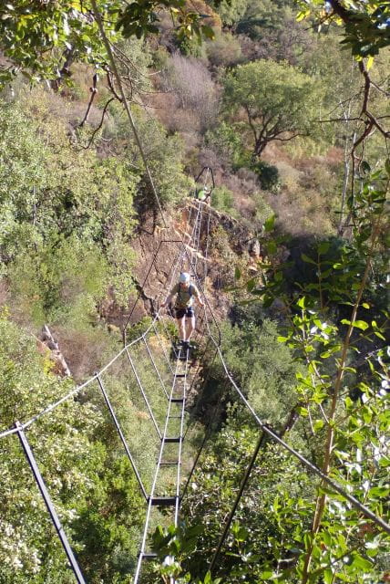 From Estepona: via Ferrata El Caimán Guided Climbing Tour - Key Points