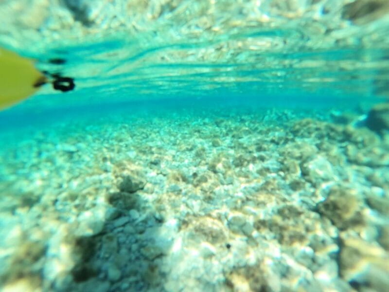 From Inmood Hotel Alcanada. Kayaking Guided Route Island - Group Size and Languages