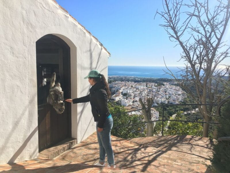 From Málaga: Frigiliana Hiking Tour With Wine & Appetizers - Key Points