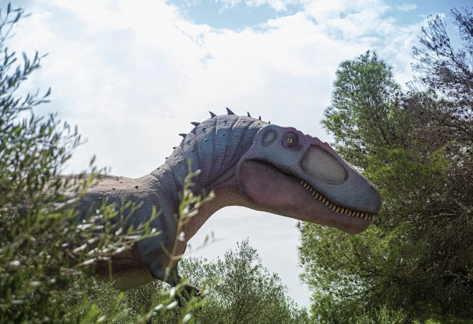 From Palma De Mallorca: Dinosaurland Tour - Important Information