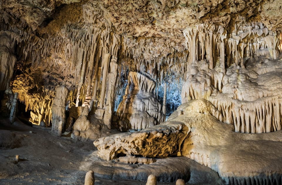 From Palma De Mallorca: Dinosaurland Tour - Tour Duration and Schedule