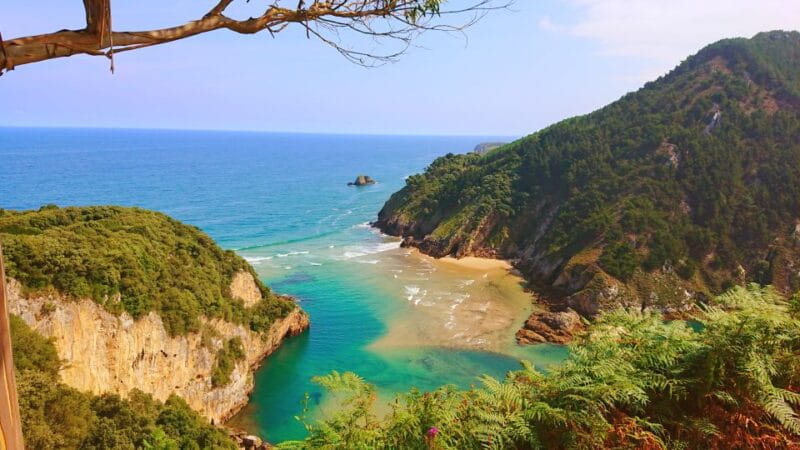 From Santander or Torrelavega: Soplao Cave Excursion - Participant Information