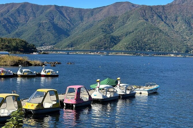 From Tokyo-Mt Fuji PVT 1 Day Customized Tour With English Driver - Tour Experience and Flexibility