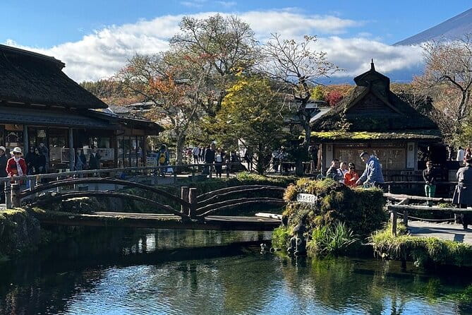 From Tokyo-Mt Fuji PVT 1 Day Customized Tour With English Driver - Visiting the Mt. Fuji 5th Station