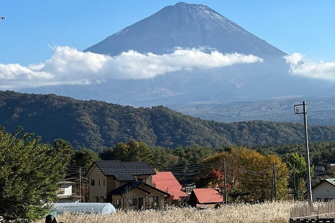 From Tokyo-Mt Fuji PVT 1 Day Customized Tour With English Driver - Customizing Your Itinerary