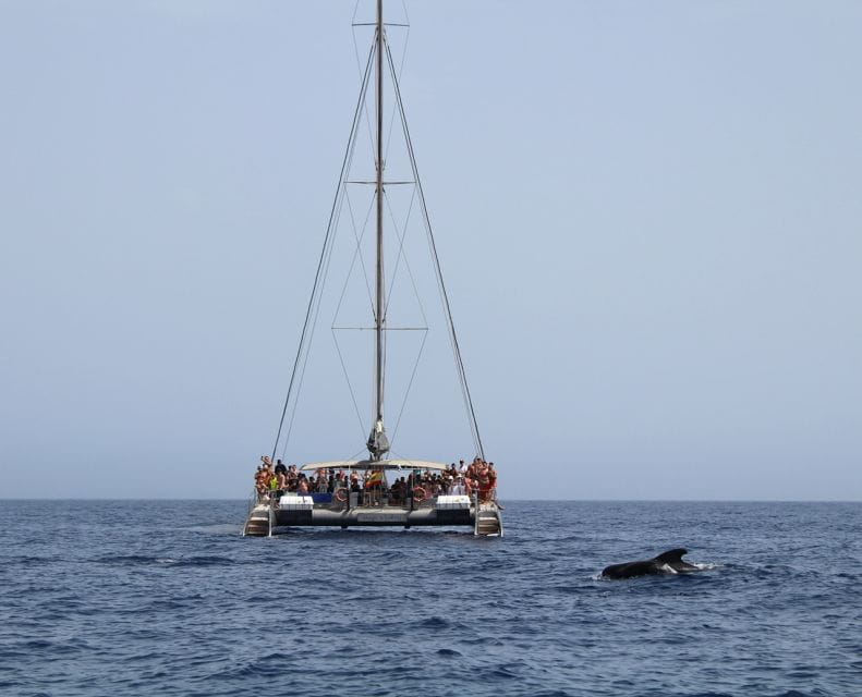 Fuerteventura: Magic Catamaran Trip With Food and Drinks - Refreshing Swimming Experience