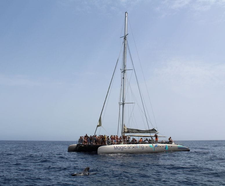 Fuerteventura: Magic Catamaran Trip With Food and Drinks - Key Trip Details