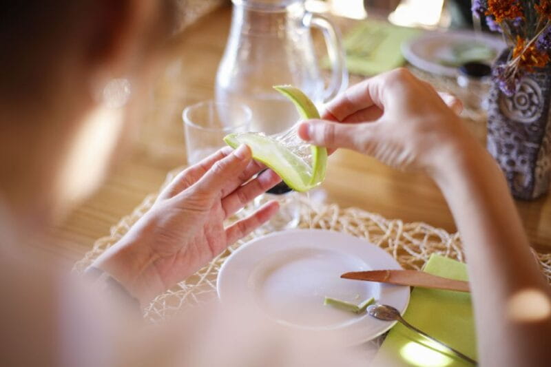 Fuerteventura Organic Farm Guided Tour W/ Optional Lunch - Things To Known