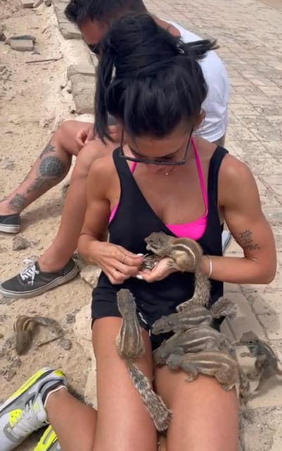 Fuerteventura: Popcorn Beach, Lobo Island & Sand Dune Trip - Inclusions and Requirements