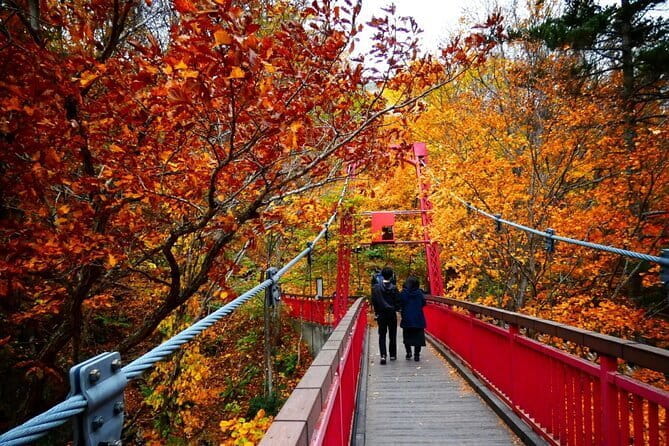 Full Day Indigenous Ainu of Hokkaido and Jozankei - Inclusions and Pricing