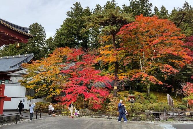Full Day Nikko Private Tour With Certified Japanese Guide - Key Points