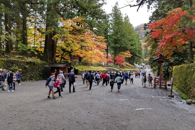 Full Day Nikko Private Tour With Certified Japanese Guide - Gourmet Lunch Experience
