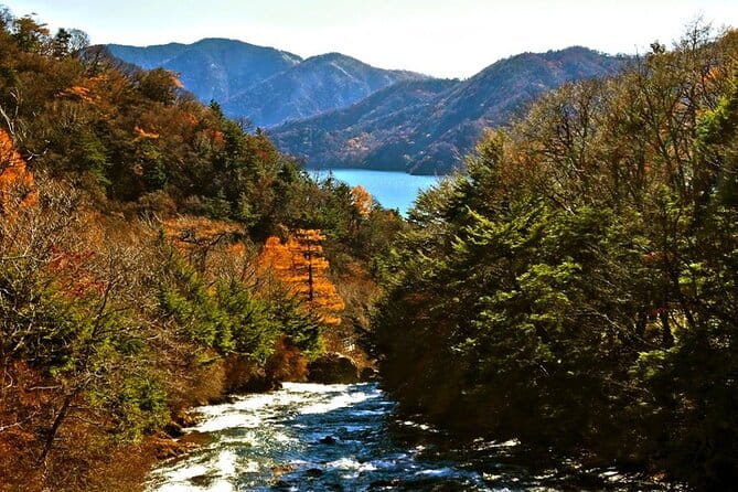 Full Day Private Tour & Sightseeing to Nikko(Eng Speaking Driver) - Accessibility and Participation