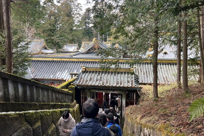 Full Day Private Tour & Sightseeing to Nikko(Eng Speaking Driver) - Customer Reviews and Feedback