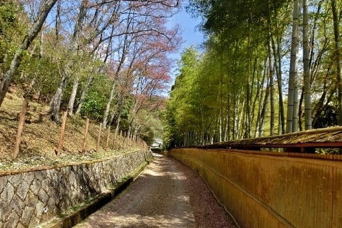 Full Day Private Walking Day Tour in Kyoto With Tea - Meeting Point and Start Time