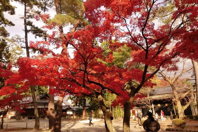 Full Day Private Walking Day Tour in Kyoto With Tea - Lunch and Tea Experience