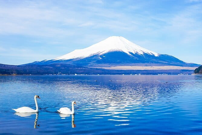 Full Day Tour at Mt. Fuji, Onsen, Lake Kawaguchi and Yamanaka - Key Points