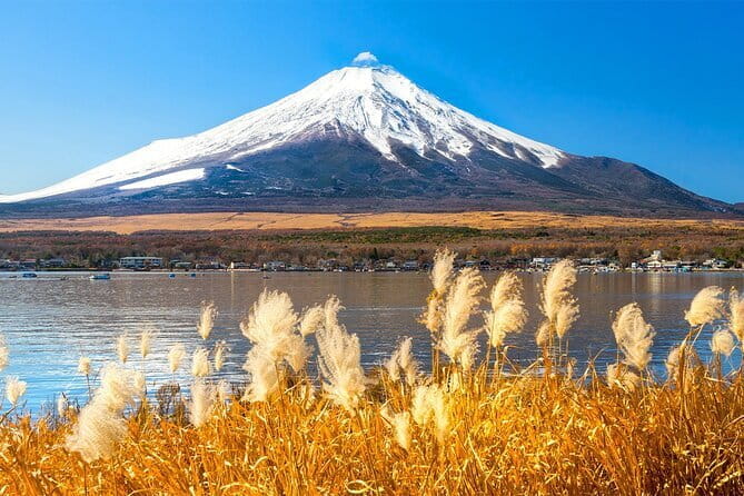 Full Day Tour at Mt. Fuji, Onsen, Lake Kawaguchi and Yamanaka - Tour Overview and Inclusions