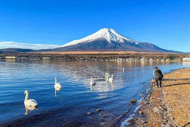 Full Day Tour at Mt. Fuji, Onsen, Lake Kawaguchi and Yamanaka - Important Notes and Communication