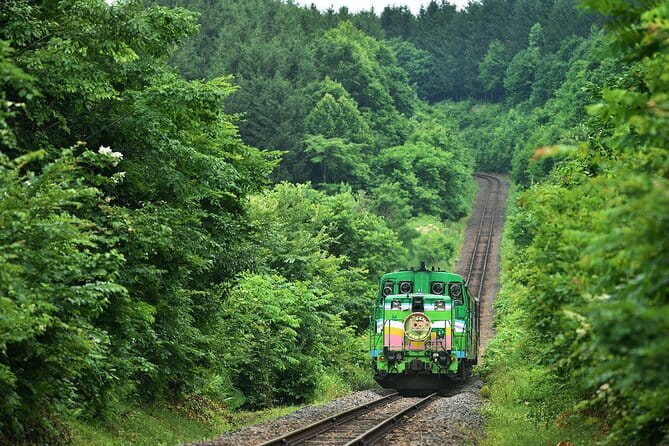 Furano & Biei 6 Hour Tour: English Speaking Driver Only, No Guide - Customize Your Tour