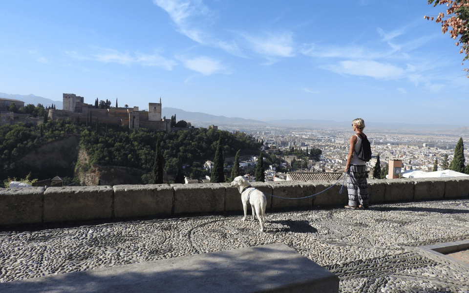 Granada: Guided Albaicín Visit With Pets - Key Points
