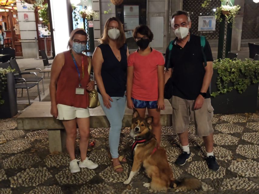 Granada: Guided Albaicín Visit With Pets - Itinerary Details