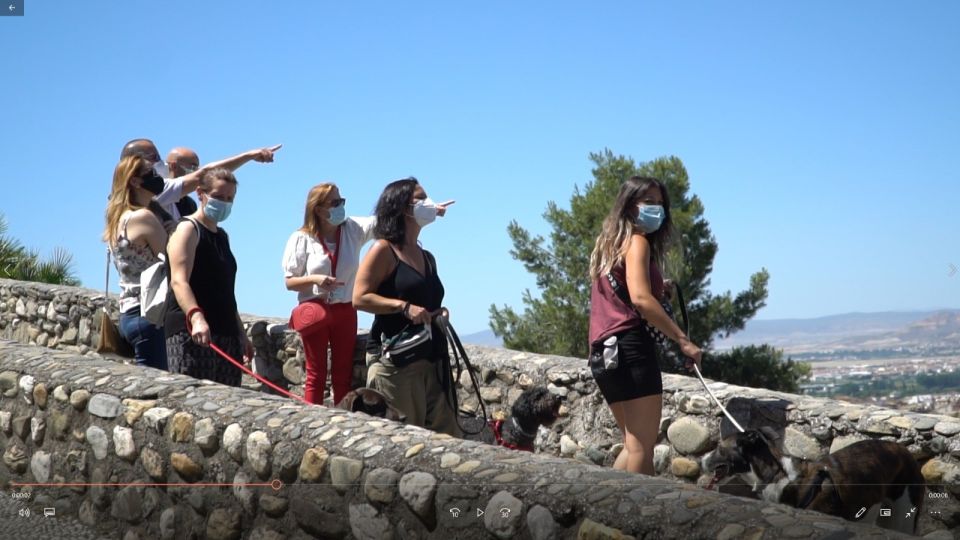 Granada: Guided Albaicín Visit With Pets - Pet-Friendly Features