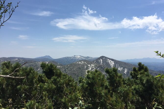 Green Season Half Day Hikes in Sapporo and Hokkaido With Onsen - Health and Accessibility