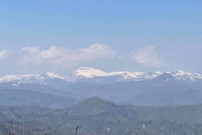 Green Season Half Day Hikes in Sapporo and Hokkaido With Onsen - Exploring the Green Season in Sapporo and Hokkaido